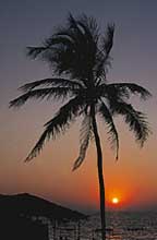 Kerala Tourismus, Kerala Urlaub, Urlaub in Kerala, Kerala Backwater-Touren, gujarat indien Touren, gujarat Touren Reise